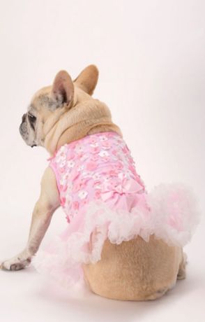 Pink 3D Floral Embellished Dog Dress
